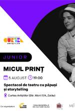Micul Print