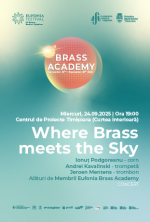 Where Brass meets the Sky 