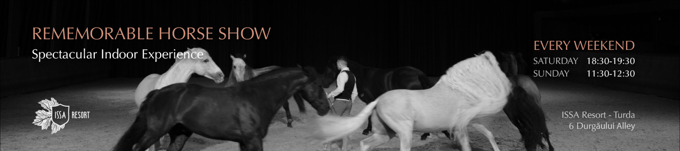 REMEMORABLE HORSE SHOW - Spectacular Indoor Experience