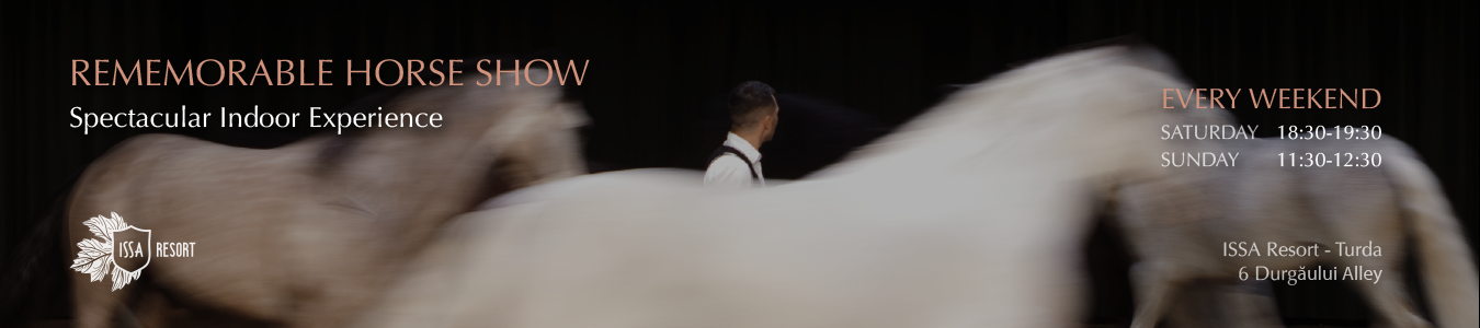 REMEMORABLE HORSE SHOW - Spectacular Indoor Experience