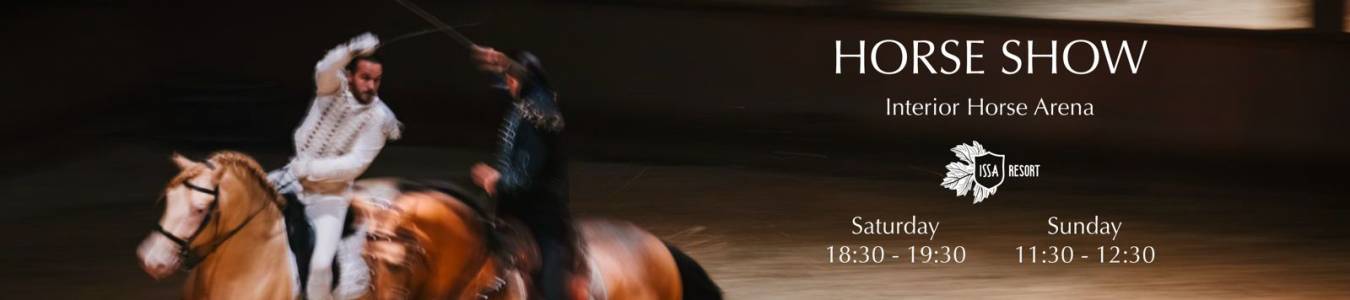 REMEMORABLE HORSE SHOW - Spectacular Indoor Experience