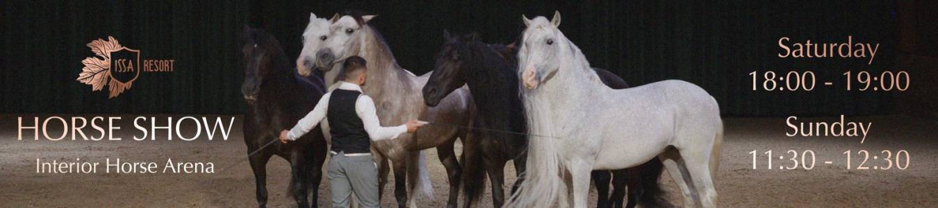 REMEMORABLE HORSE SHOW - Spectacular Indoor Experience