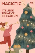 Zane din bile de lana - atelier de bricolaj