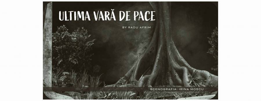 ULTIMA VARĂ DE PACE 