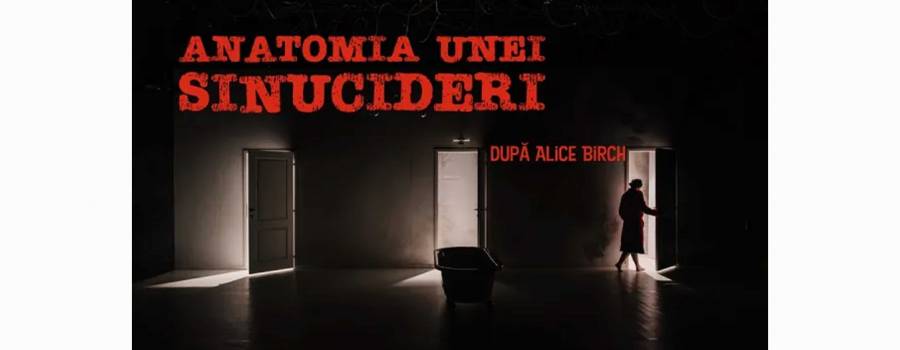 ANATOMIA UNEI SINUCIDERI 