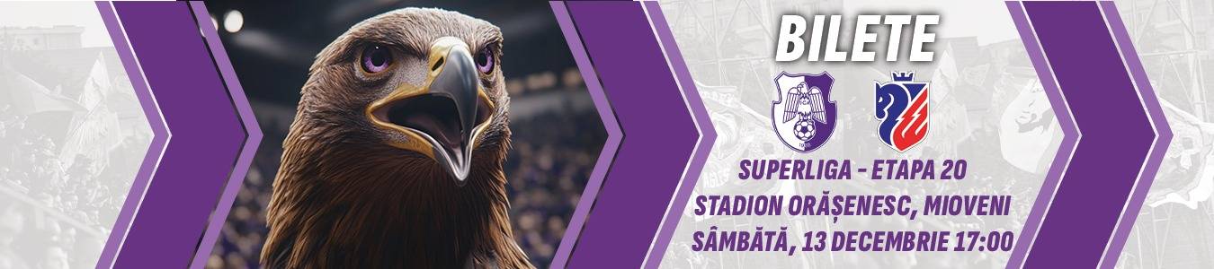 FC ARGES - FC BOTOSANI