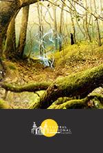 SÂNZIANA ȘI PEPELEA 