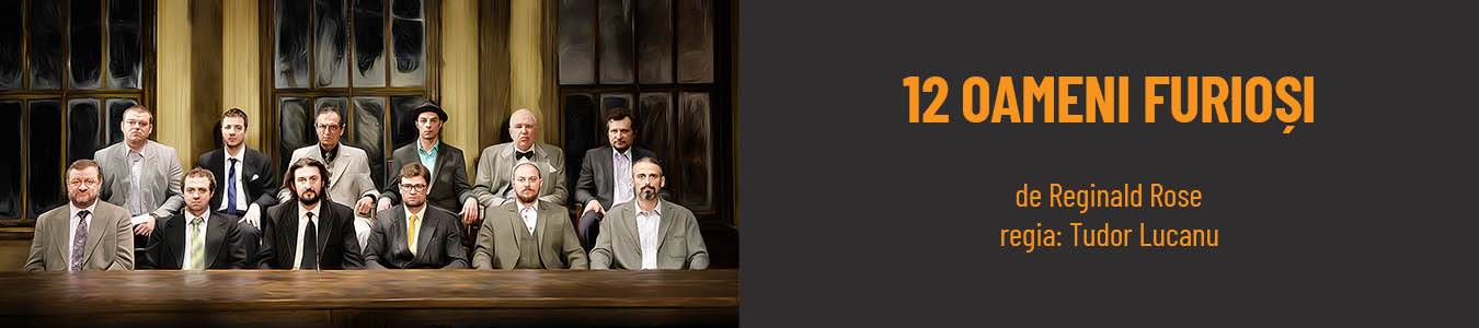 12 OAMENI FURIOȘI